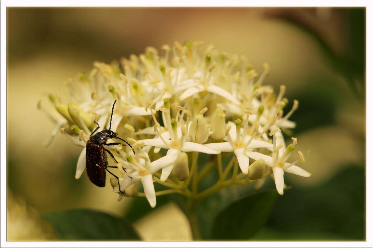 ���������� ����� ������  �� PhotoGeek.ru #�����