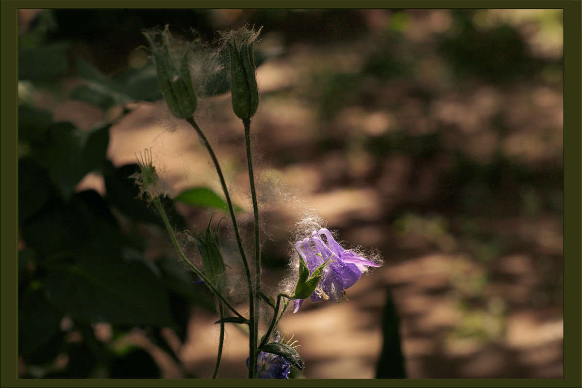 ��������� ��� 4 ����� ������  �� PhotoGeek.ru #������ ��� �������