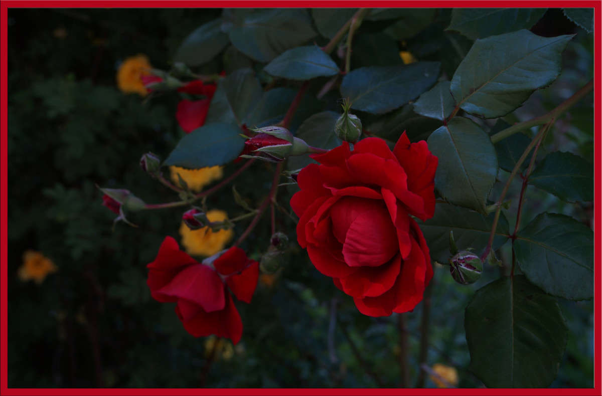 ����� ������� ����� ������  �� PhotoGeek.ru #������ ��� �������