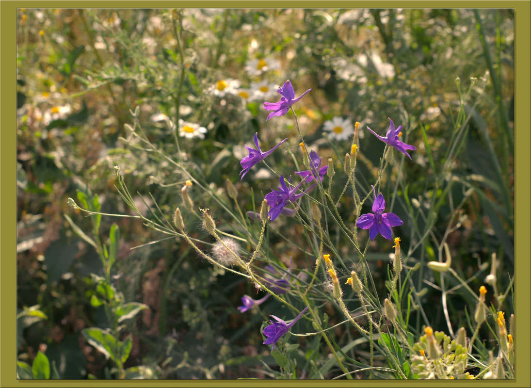 ������� ����� ����� ������  �� PhotoGeek.ru #������ ��� �������