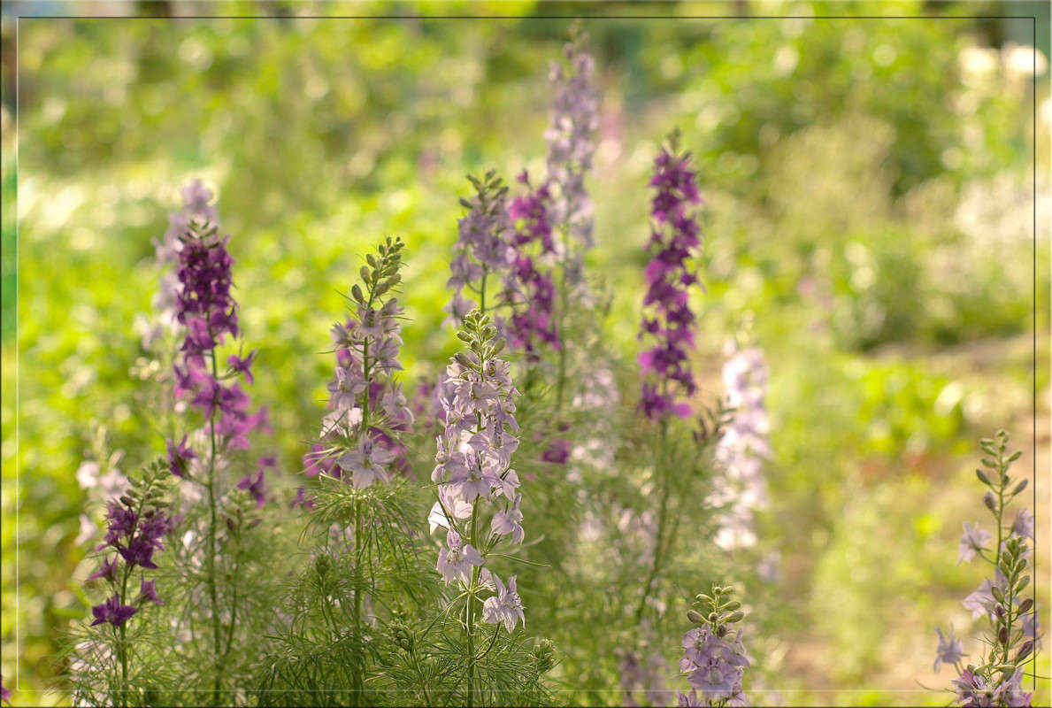 ��������� ����� ����� ������  �� PhotoGeek.ru #������ ��� �������