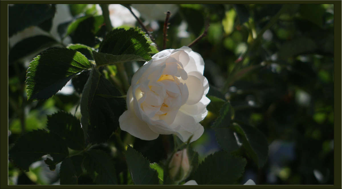 ��������� ����� ������  �� PhotoGeek.ru #������ ��� �������