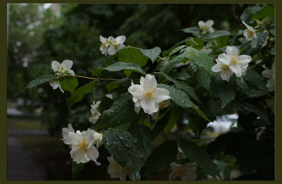 �������� ����� ������  �� PhotoGeek.ru #������ ��� �������