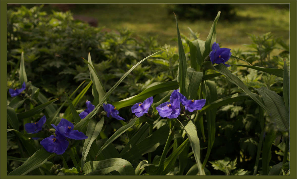 ����������� ����� ������  �� PhotoGeek.ru #������ ��� �������