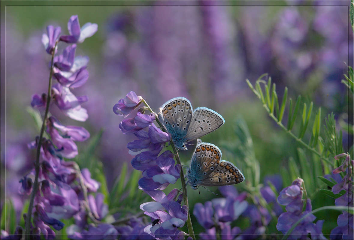 �������� ����� ������  �� PhotoGeek.ru #�����