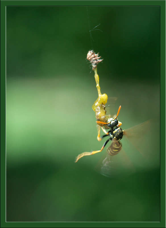 ������� ����� ������  �� PhotoGeek.ru #�����