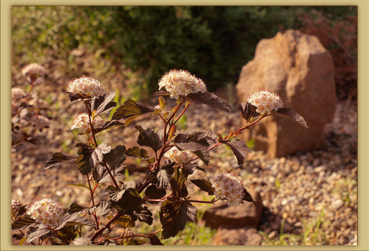 ��������� ������� ����� ������  �� PhotoGeek.ru #������ ��� �������