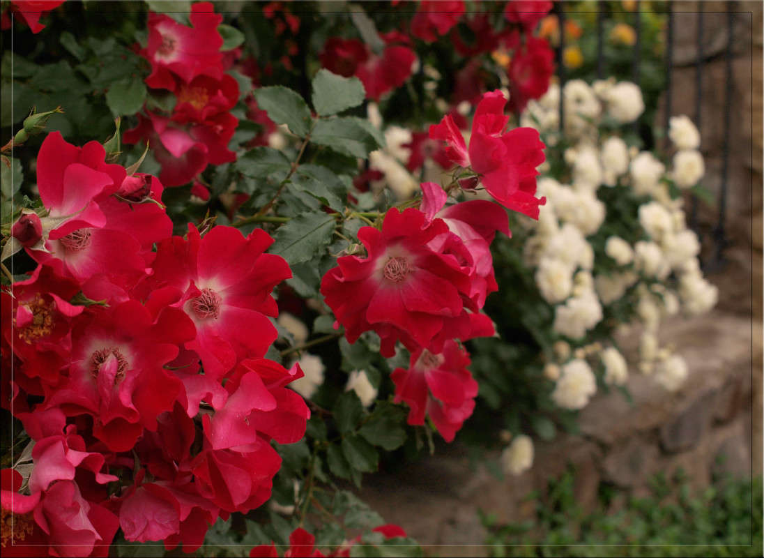 ������� � ����� ����� ������  �� PhotoGeek.ru #������ ��� �������