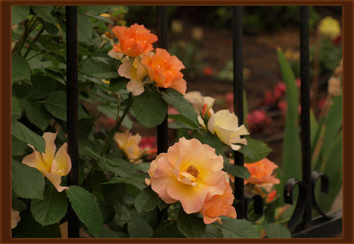 ���� ���� ���� ����� ������  �� PhotoGeek.ru #������ ��� �������