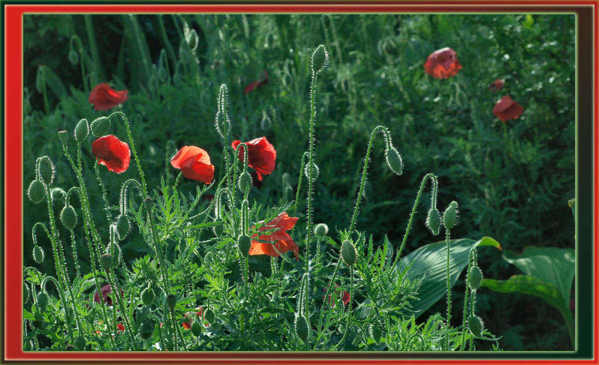 ���� ���� � ���� ����� ������  �� PhotoGeek.ru #������ ��� �������