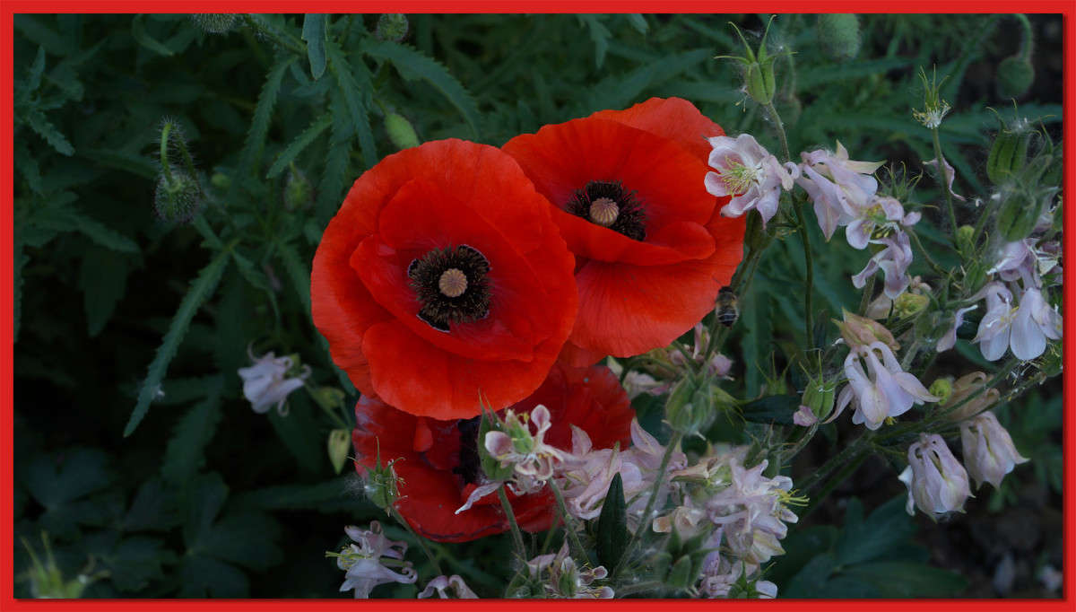 ���� � ��������� ����� ������  �� PhotoGeek.ru #������ ��� �������