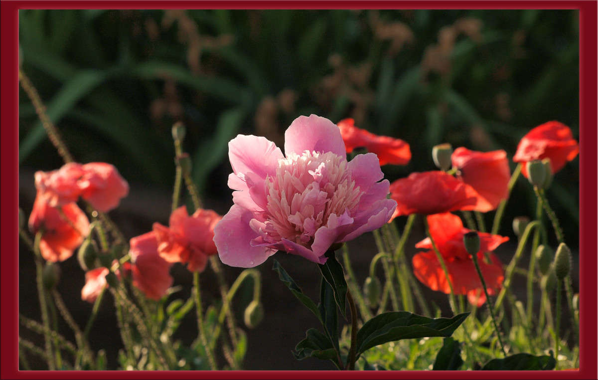 ���� � �������� ����� ������  �� PhotoGeek.ru #������ ��� �������