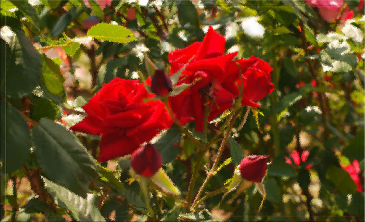 ����� ������ ����� ������  �� PhotoGeek.ru #������ ��� �������