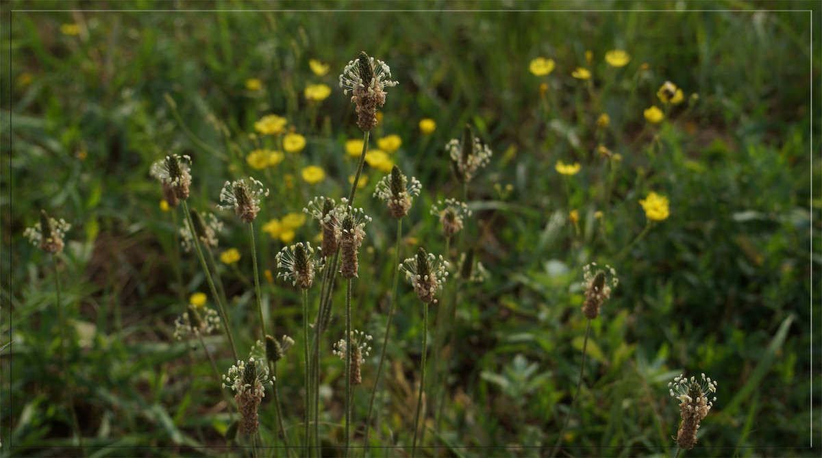 � ������ ���� 5 ����� ������  �� PhotoGeek.ru #������ ��� �������