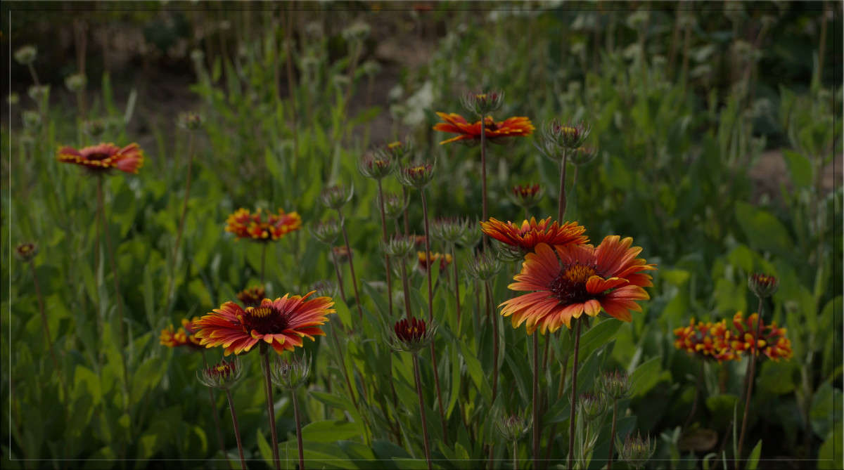 � ������ ���� 6 ����� ������  �� PhotoGeek.ru #������ ��� �������