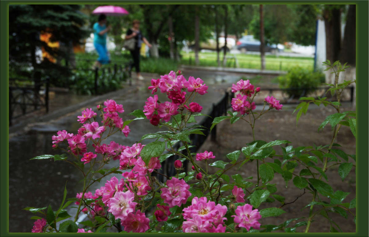 ���� � ����� ����� ������  �� PhotoGeek.ru #������ ��� �������