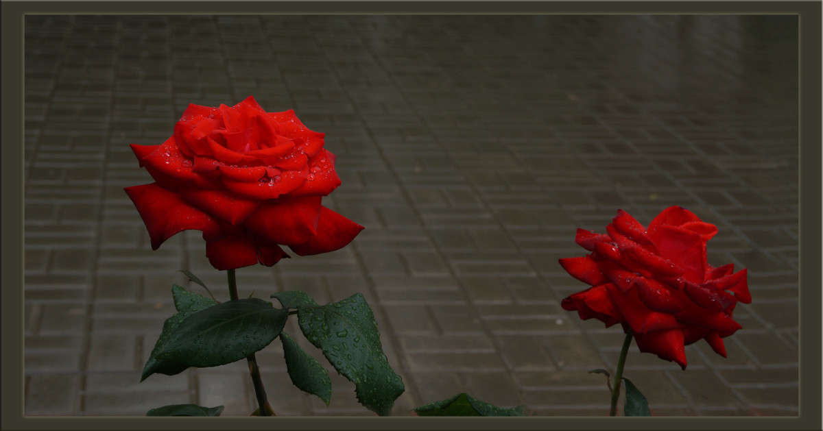 ���� � ����� 3 ����� ������  �� PhotoGeek.ru #������ ��� �������