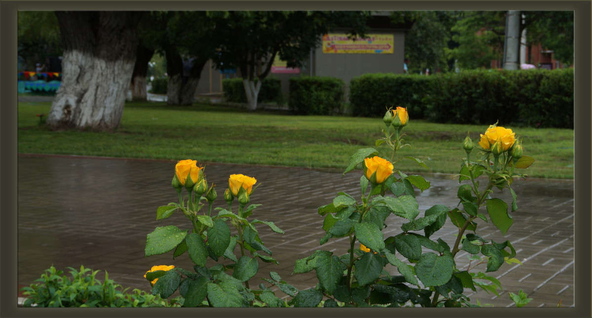 ���� � ����� 4 ����� ������  �� PhotoGeek.ru #������ ��� �������