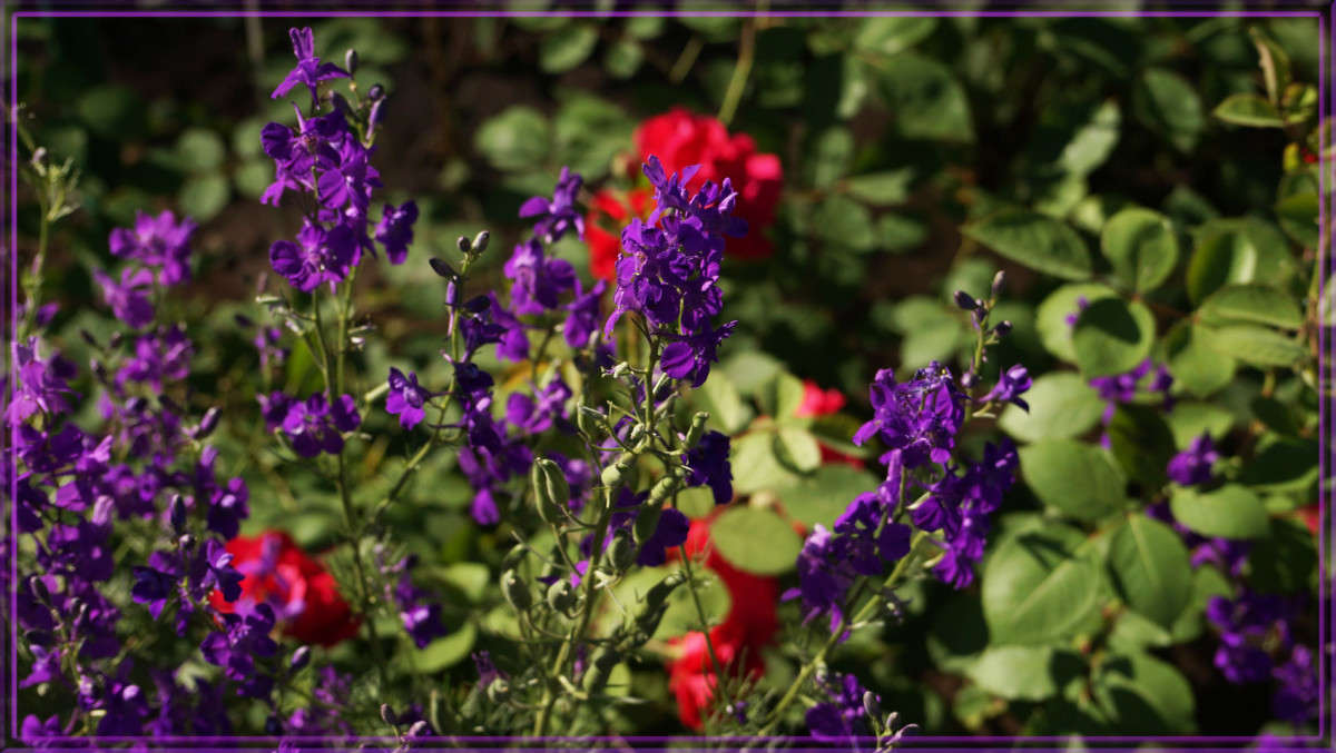 �������� 2 ����� ������  �� PhotoGeek.ru #������ ��� �������