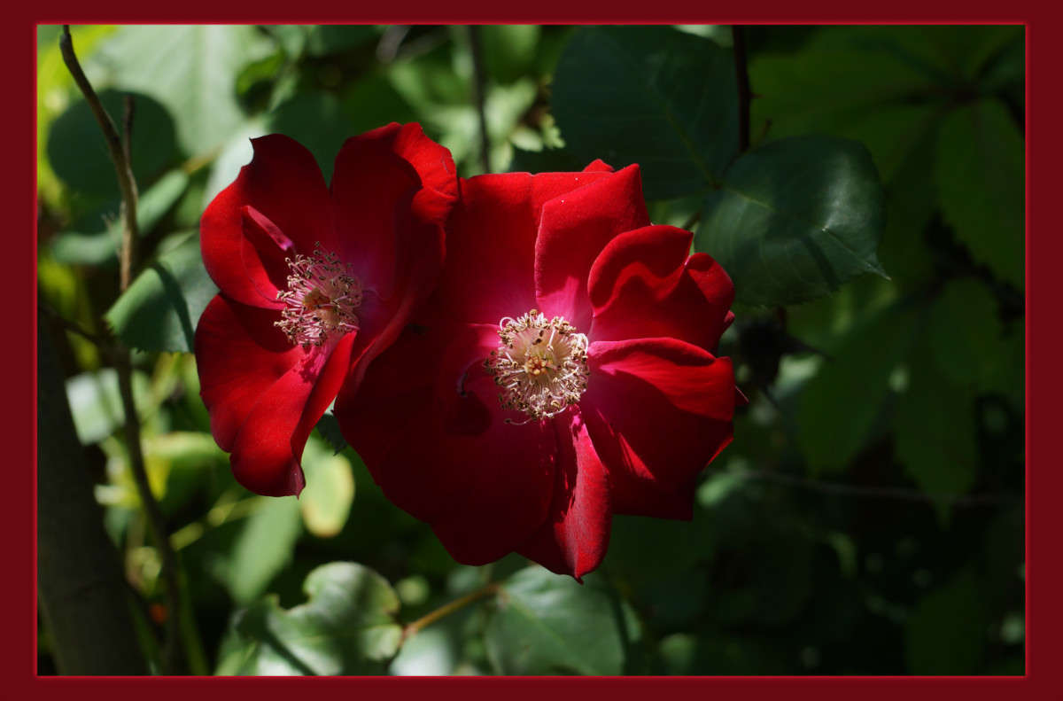 �������� 3 ����� ������  �� PhotoGeek.ru #������ ��� �������