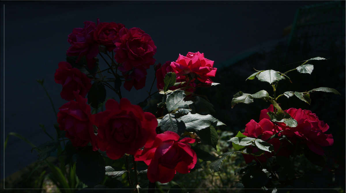 �������� 4 ����� ������  �� PhotoGeek.ru #������ ��� �������