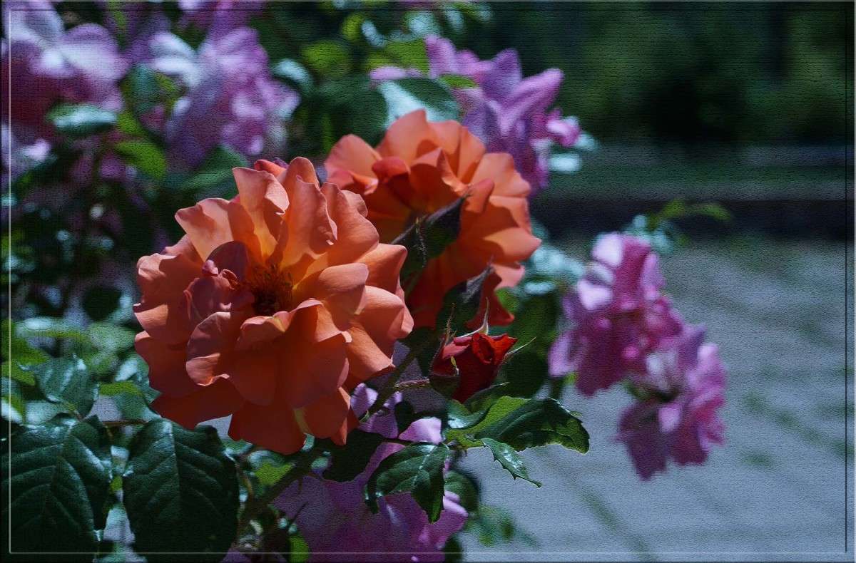 �������������� ����� ������  �� PhotoGeek.ru #������ ��� �������