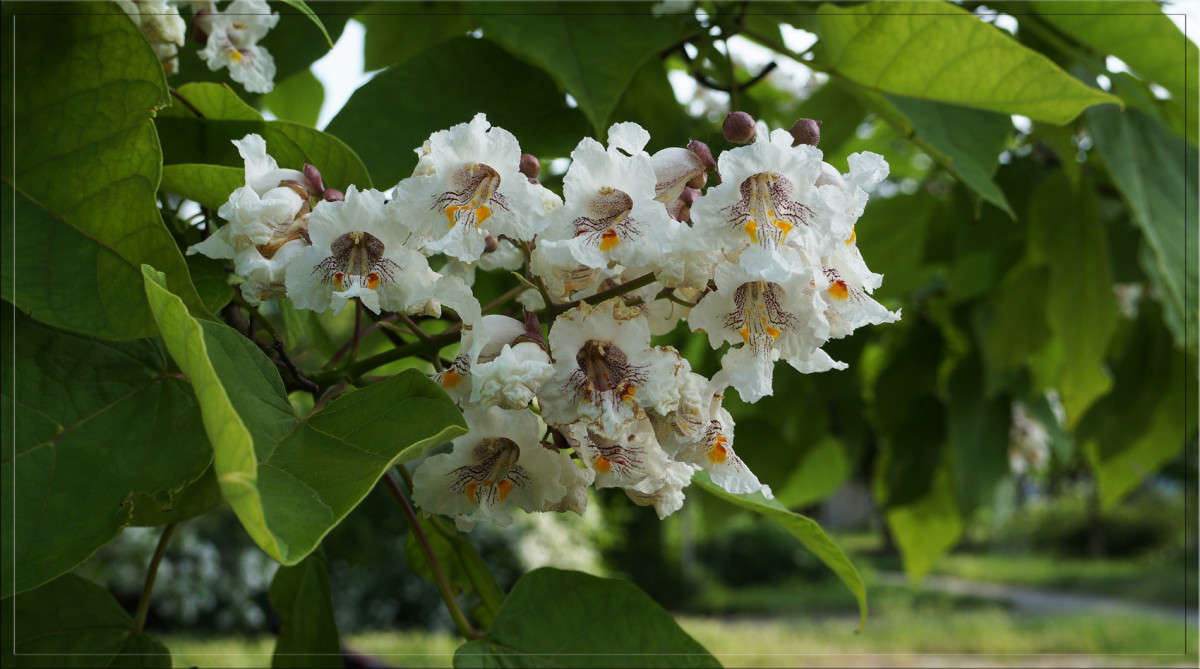 ���������� �������� ����� ������  �� PhotoGeek.ru #������ ��� �������