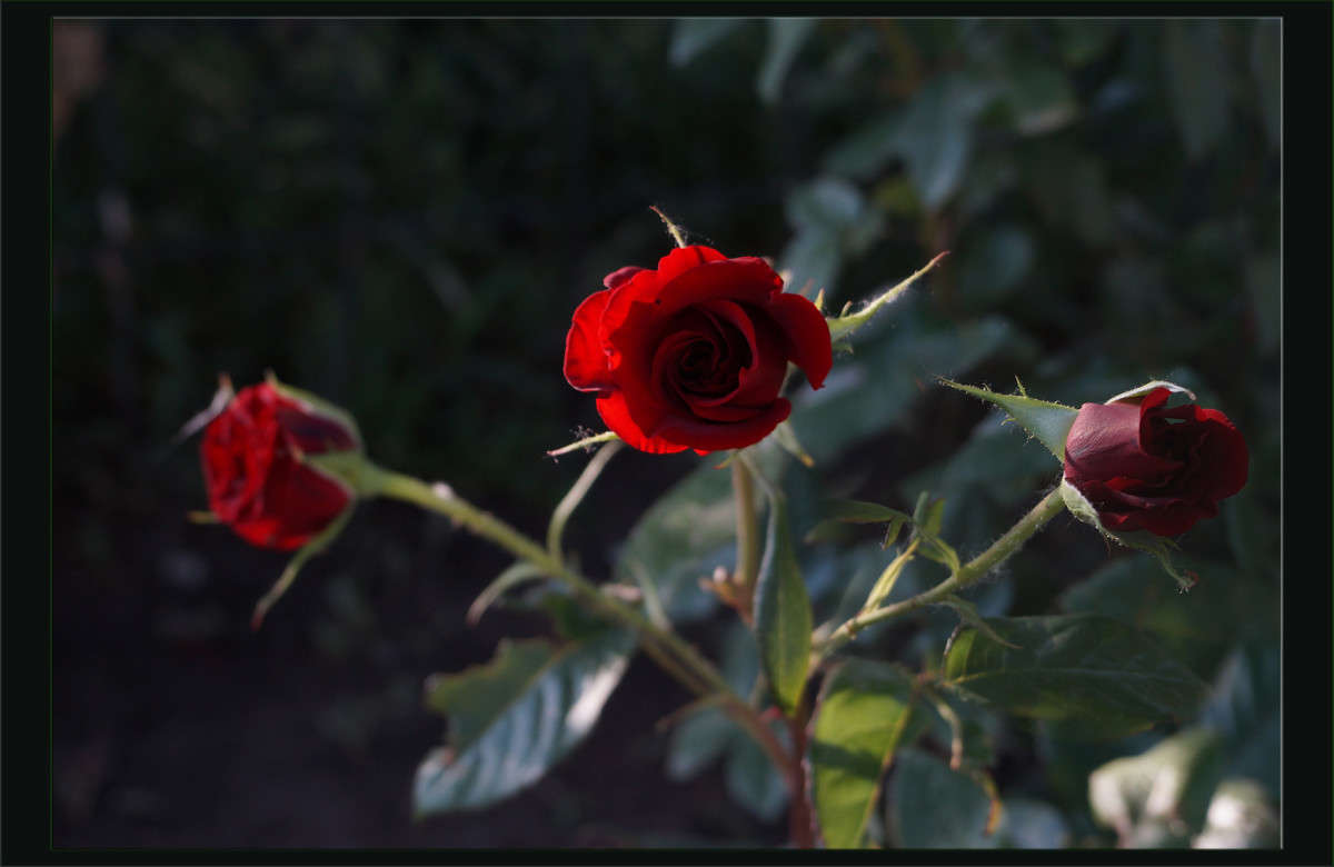 ��� ������� ����� ������  �� PhotoGeek.ru #������ ��� �������