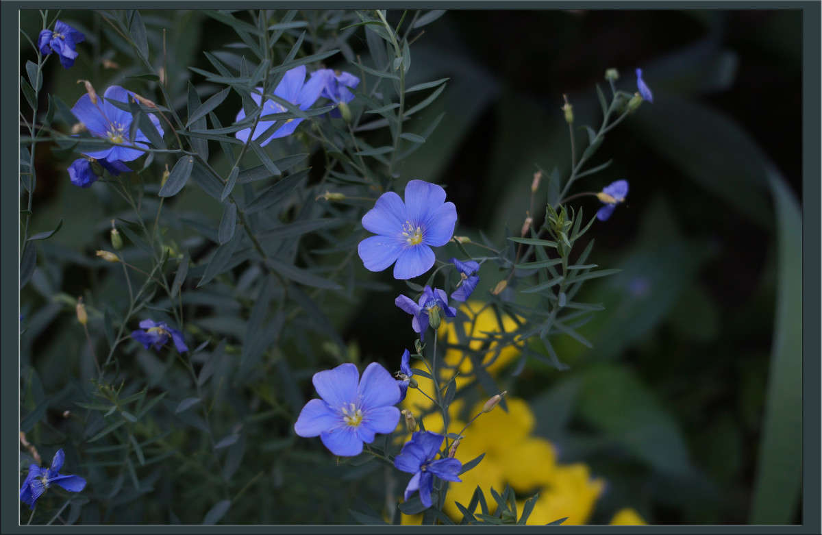 ������� �� ������ ����� ������  �� PhotoGeek.ru #������ ��� �������