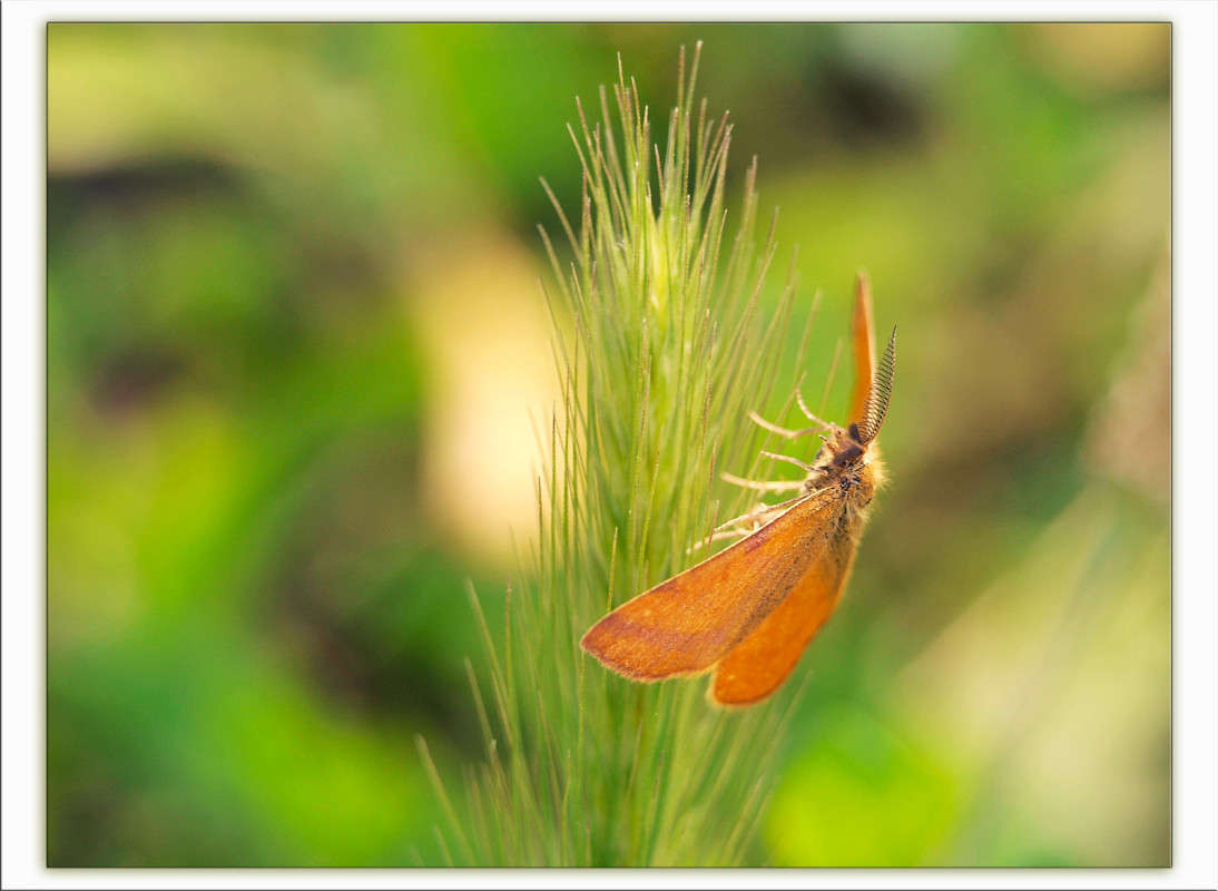 � ������� ����� ������  �� PhotoGeek.ru #�����