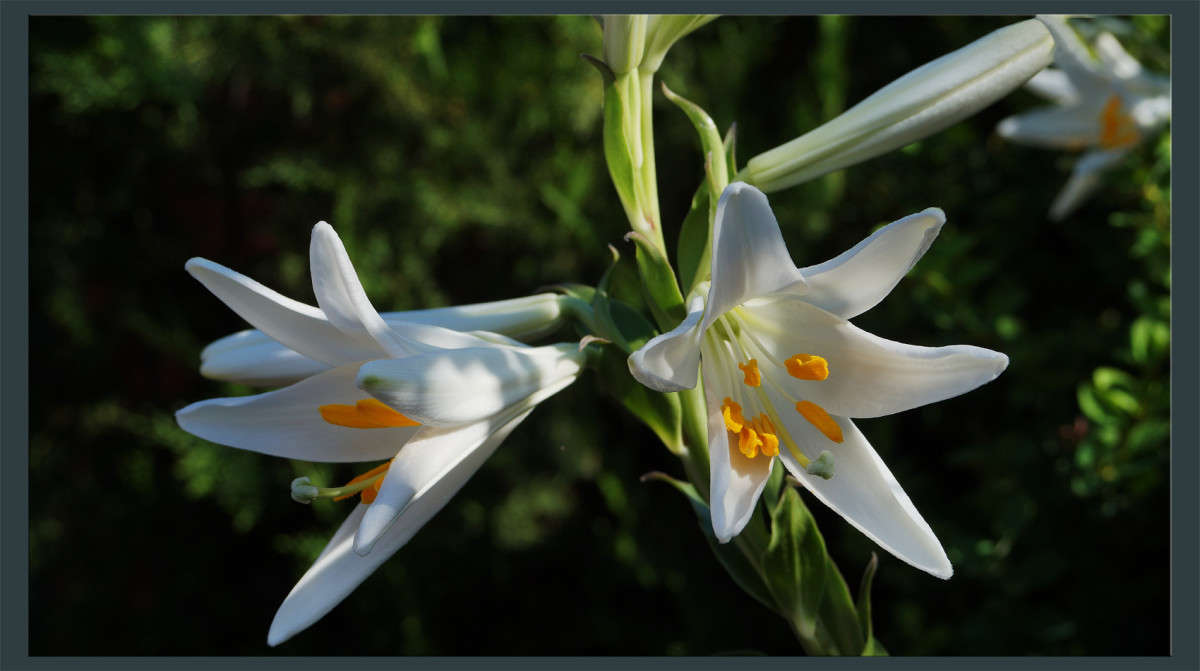 ���������� ����� ������  �� PhotoGeek.ru #������ ��� �������