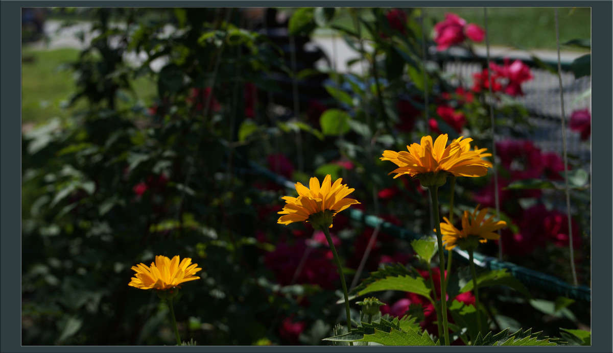 �������������� 2 ����� ������  �� PhotoGeek.ru #������ ��� �������