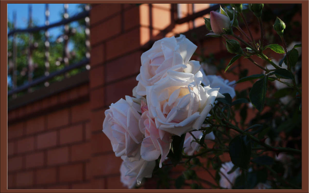 ����� ����� ������  �� PhotoGeek.ru #������ ��� �������