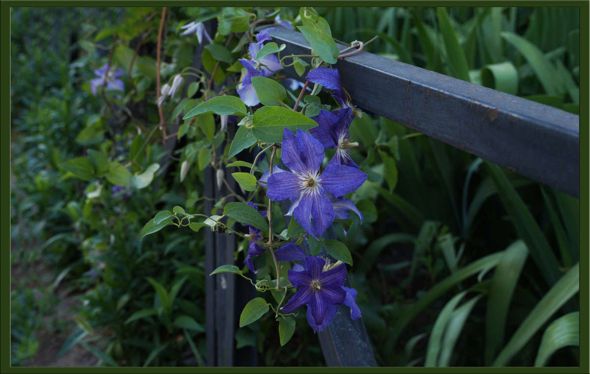 �������� ����� ������  �� PhotoGeek.ru #������ ��� �������