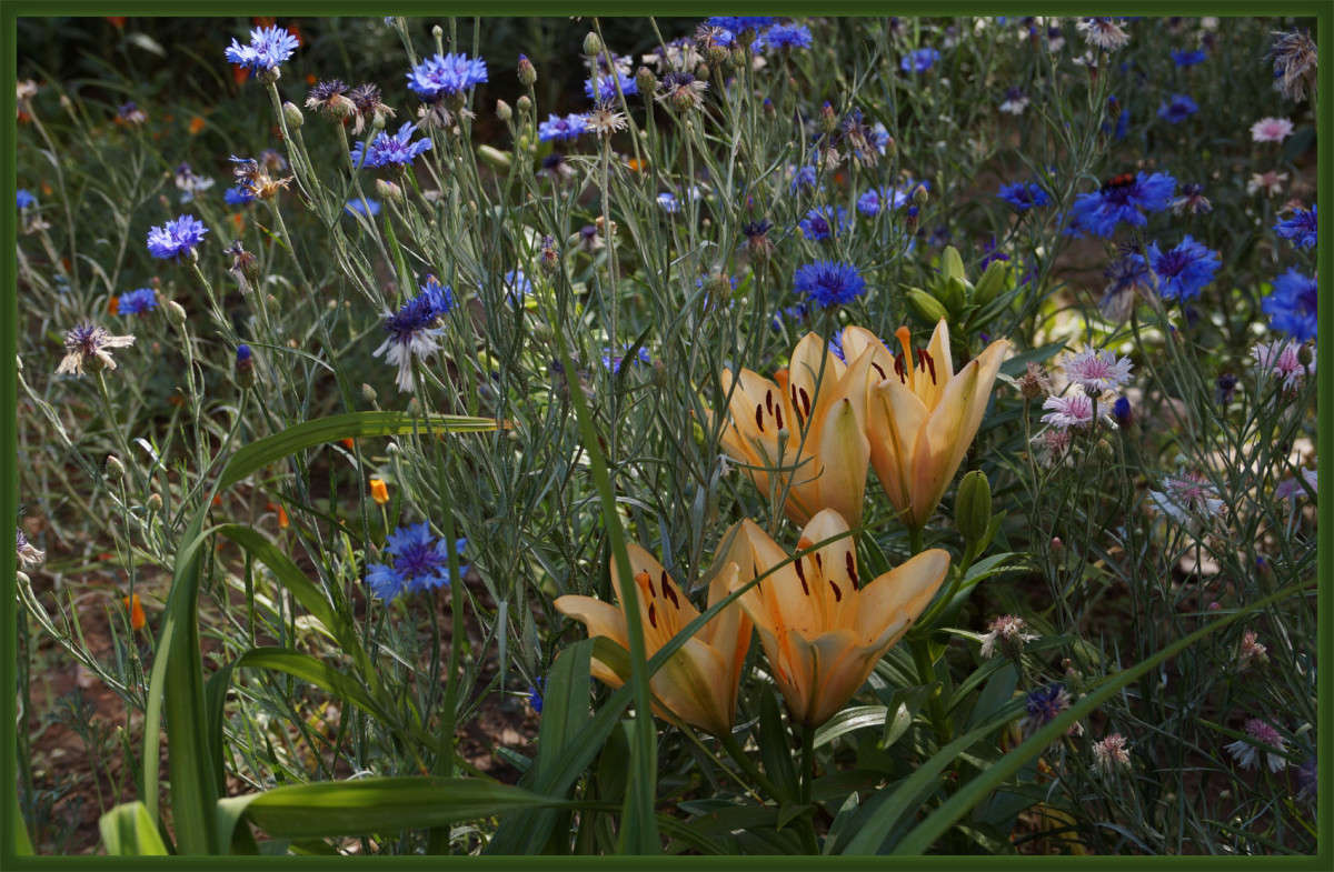 �������� ����� ������  �� PhotoGeek.ru #������ ��� �������