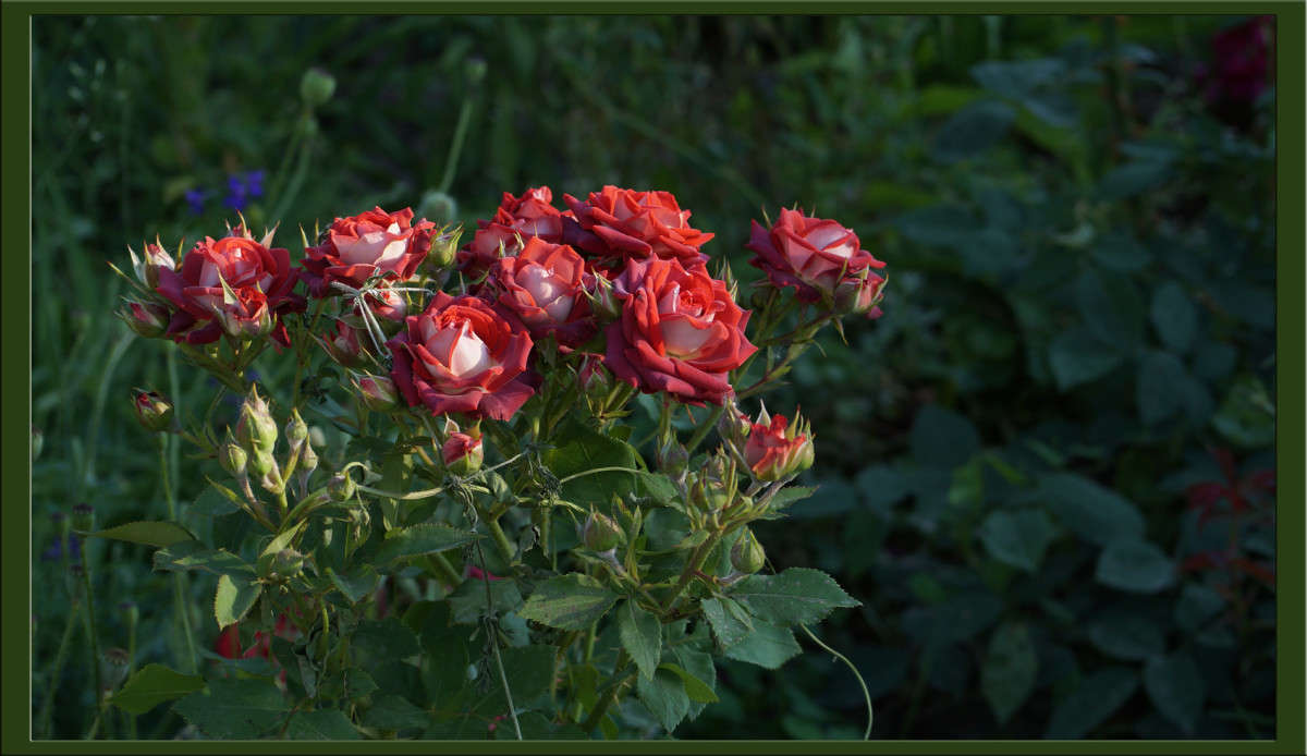 ����� ����� ������  �� PhotoGeek.ru #������ ��� �������