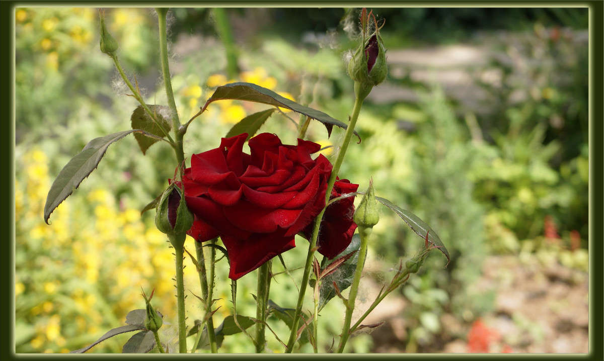 ������ ���� ����� ������  �� PhotoGeek.ru #������ ��� �������