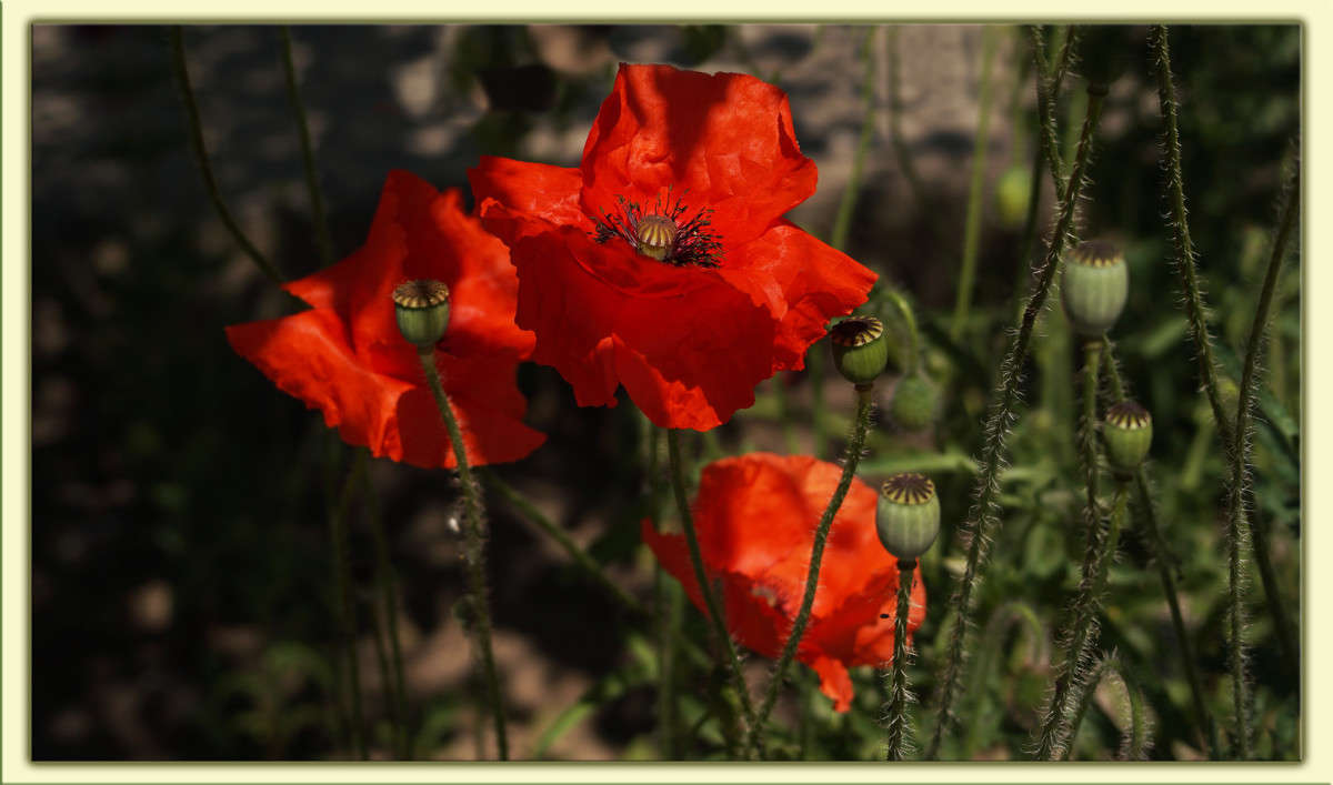 ... ����� ������  �� PhotoGeek.ru #������ ��� �������