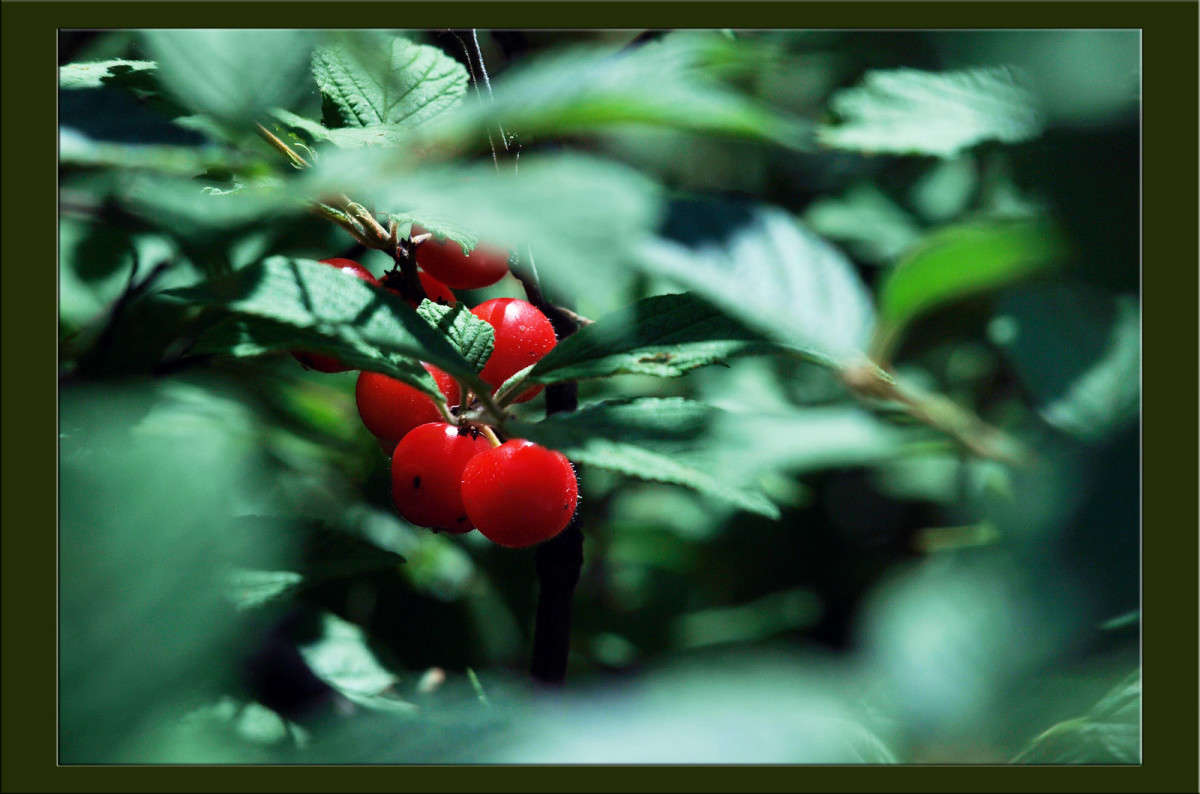 ���� ����� ������  �� PhotoGeek.ru #������ ��� �������