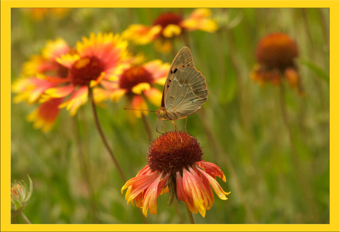 ��� � ������� ����� ����� ������  �� PhotoGeek.ru #�����