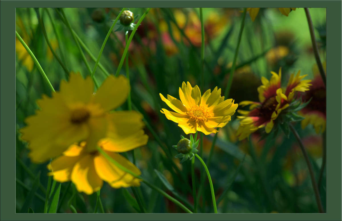 ���������� 3 ����� ������  �� PhotoGeek.ru #������ ��� �������