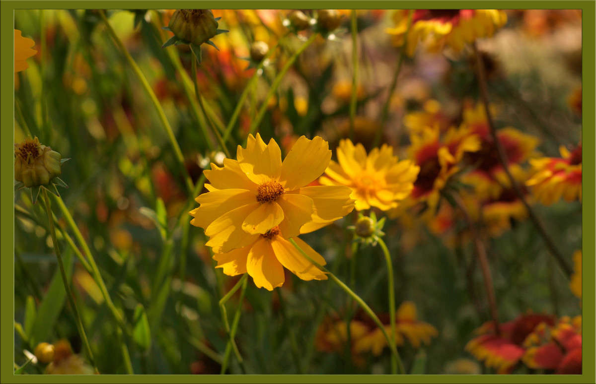 ���������� 4 ����� ������  �� PhotoGeek.ru #������ ��� �������