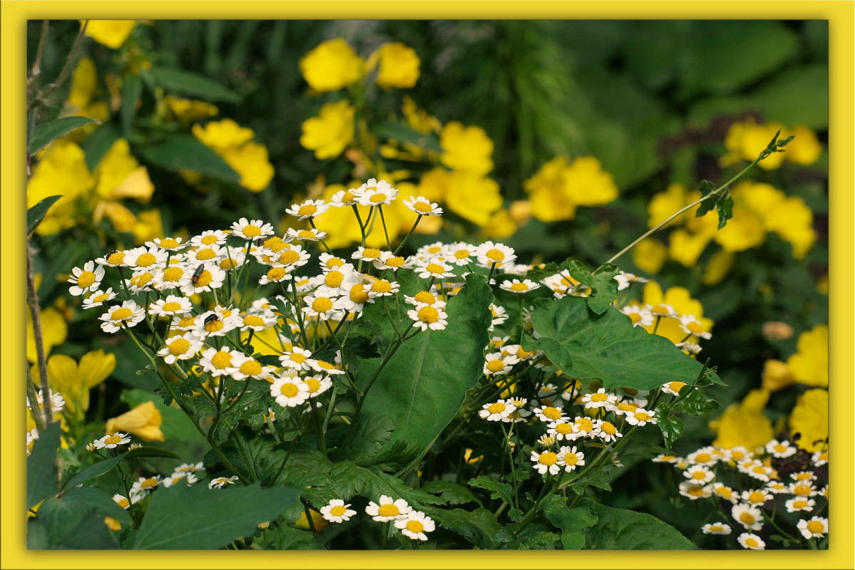 ����� ������� � 2 ����� ����� ������  �� PhotoGeek.ru #������ ��� �������