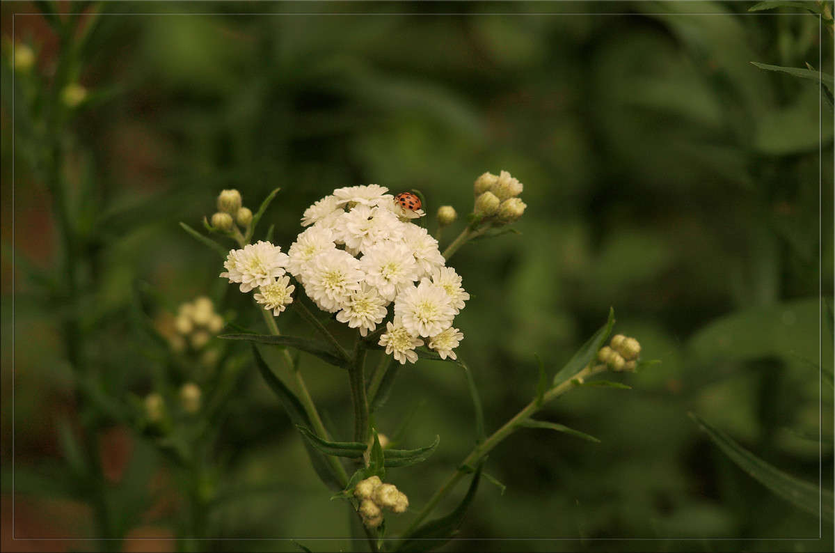 ������� � ����� ����� ������  �� PhotoGeek.ru #������ ��� �������