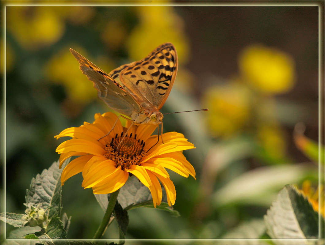 ��� � ������� ����� 3 ����� ������  �� PhotoGeek.ru #�������� ���