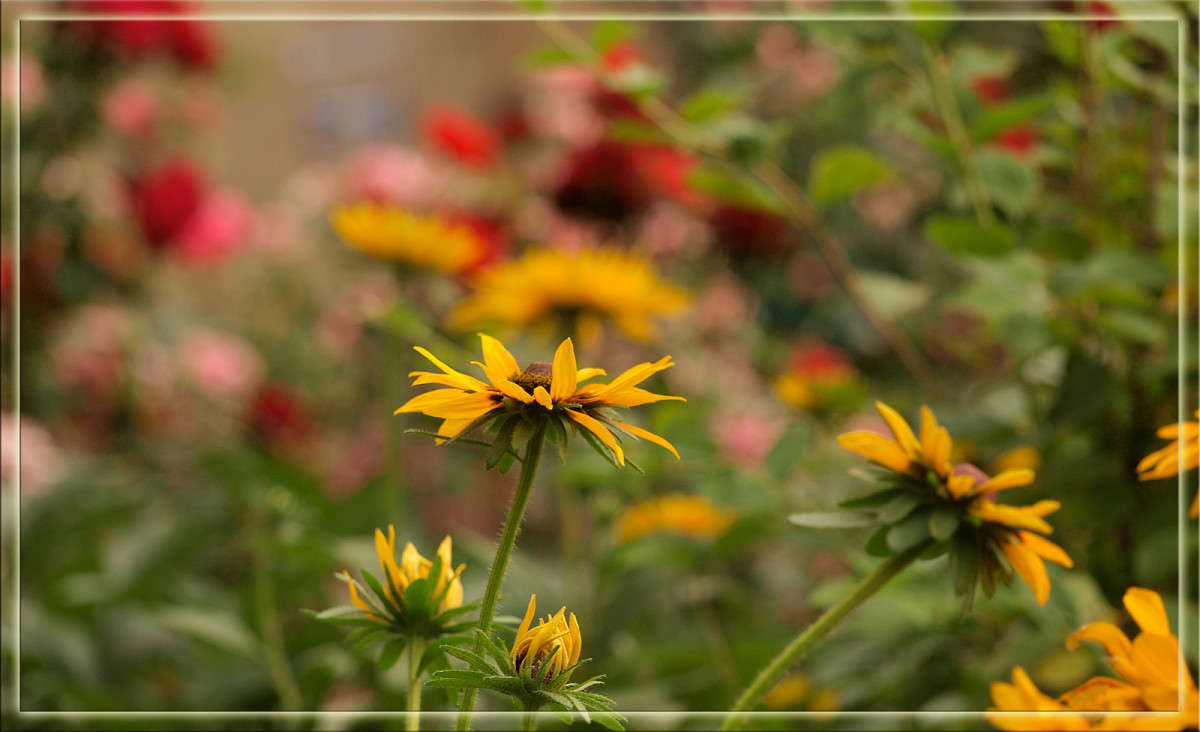 � ���������� ����� ������  �� PhotoGeek.ru #������ ��� �������