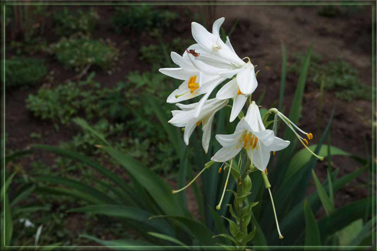 ��������� � �������������� ����� ������  �� PhotoGeek.ru #������ ��� �������