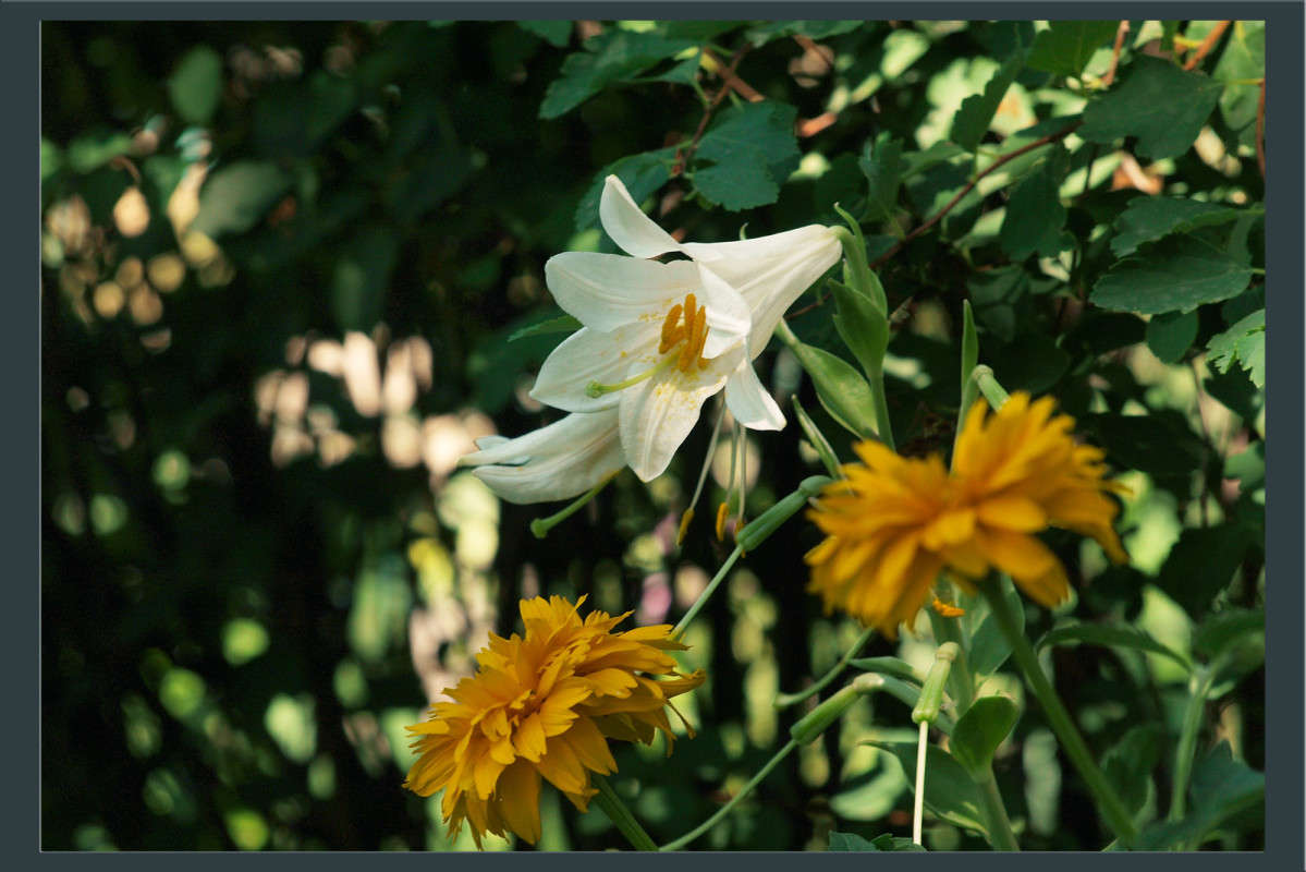 ������� ����� ������  �� PhotoGeek.ru #������ ��� �������