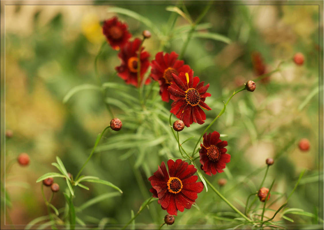 ����� � ��������� ����� ������  �� PhotoGeek.ru #������ ��� �������