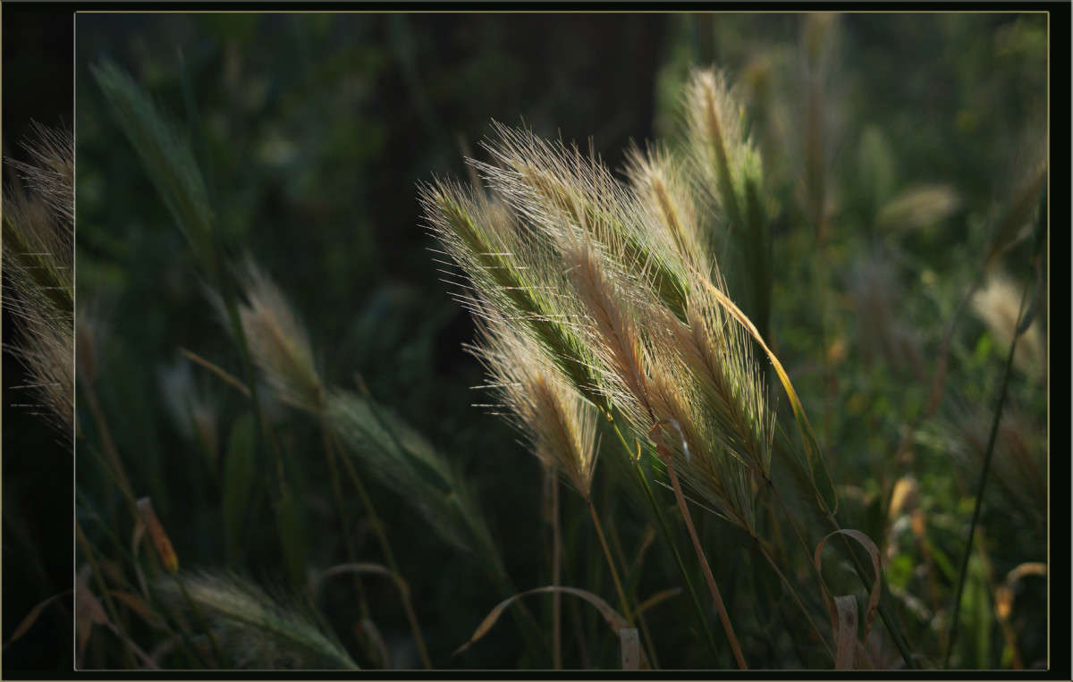 ������ ��� ����� ������  �� PhotoGeek.ru #������ ��� �������